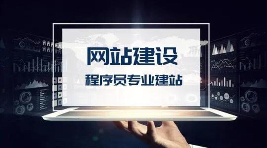 如何选择一家专业网站建设公司？(图3)