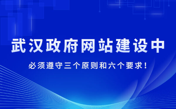 湖北省武汉政府网站建设中必须遵守三个原则和六个要求！